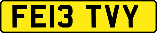 FE13TVY