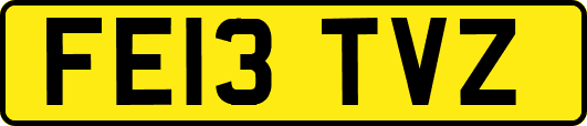 FE13TVZ