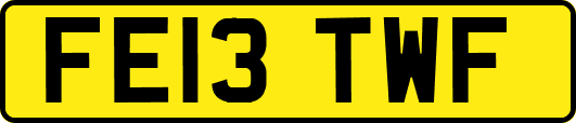 FE13TWF
