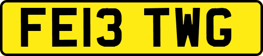 FE13TWG