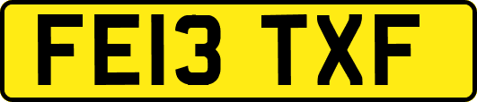FE13TXF