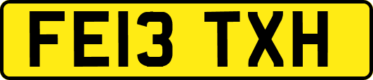 FE13TXH