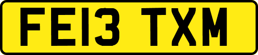 FE13TXM