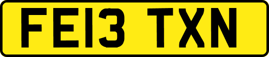 FE13TXN