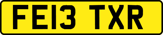 FE13TXR