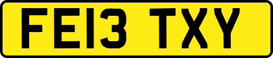 FE13TXY