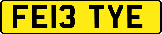 FE13TYE