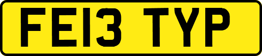 FE13TYP