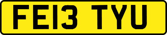 FE13TYU