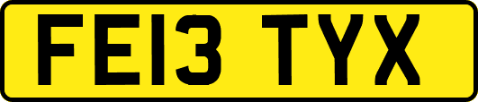 FE13TYX