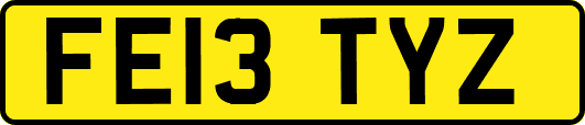 FE13TYZ