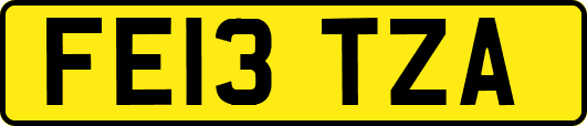 FE13TZA