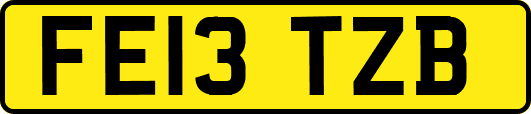 FE13TZB
