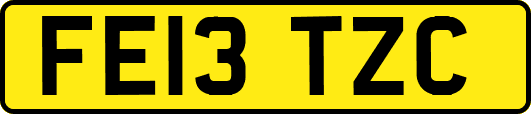 FE13TZC
