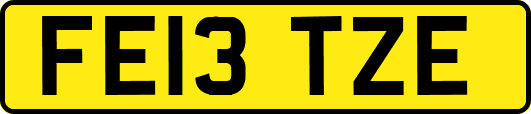 FE13TZE