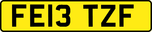 FE13TZF