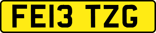 FE13TZG