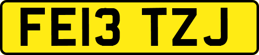 FE13TZJ