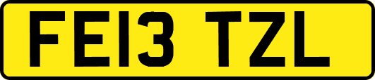 FE13TZL