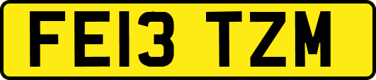 FE13TZM