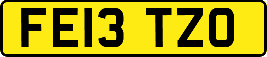 FE13TZO