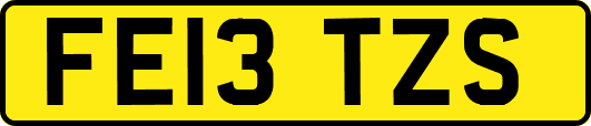 FE13TZS