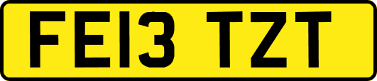 FE13TZT
