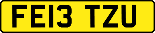 FE13TZU