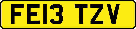 FE13TZV