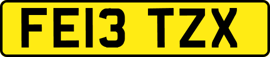 FE13TZX