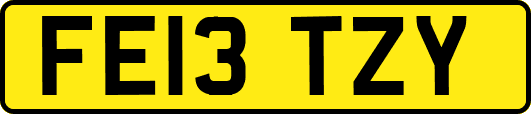 FE13TZY