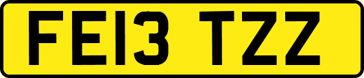 FE13TZZ