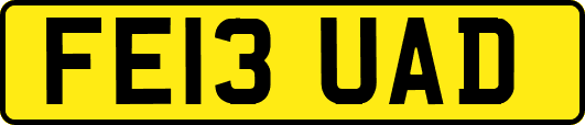 FE13UAD