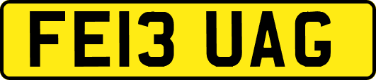FE13UAG
