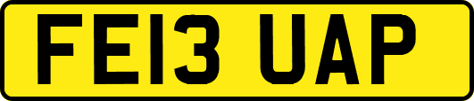FE13UAP