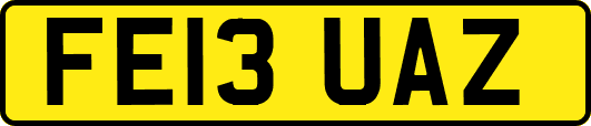 FE13UAZ