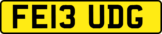 FE13UDG