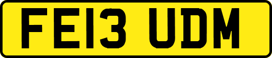 FE13UDM