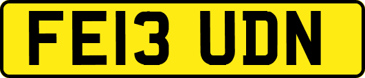 FE13UDN