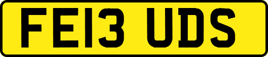 FE13UDS