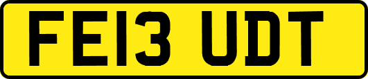 FE13UDT