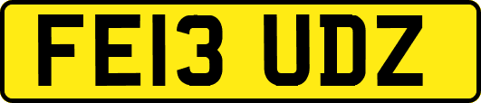 FE13UDZ