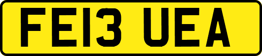FE13UEA