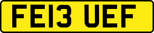 FE13UEF
