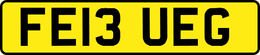 FE13UEG