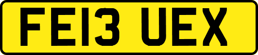 FE13UEX