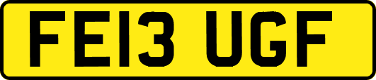 FE13UGF