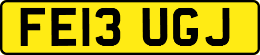 FE13UGJ