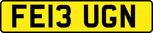 FE13UGN