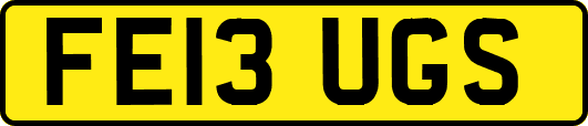 FE13UGS
